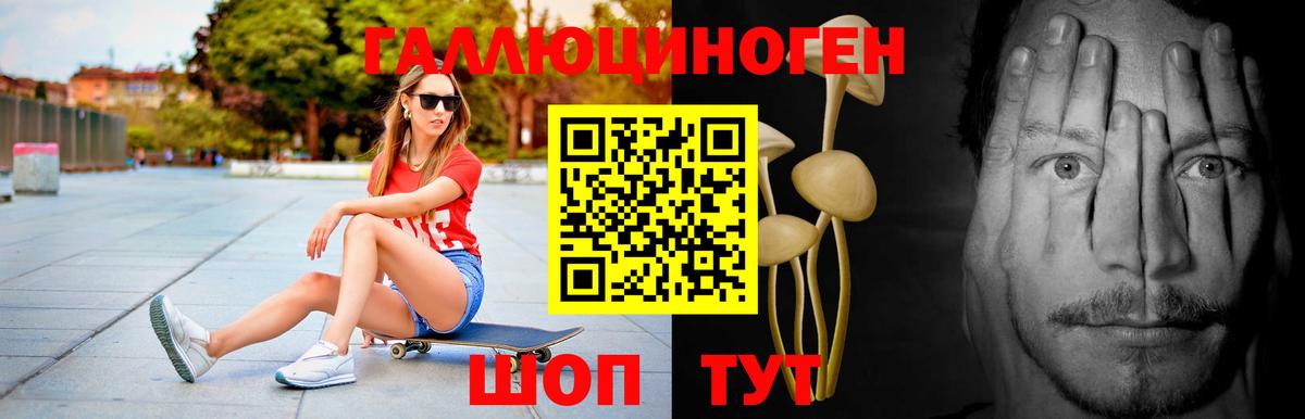Псилоцибиновые грибы Psilocybe  Вход с VPN  Вольск 